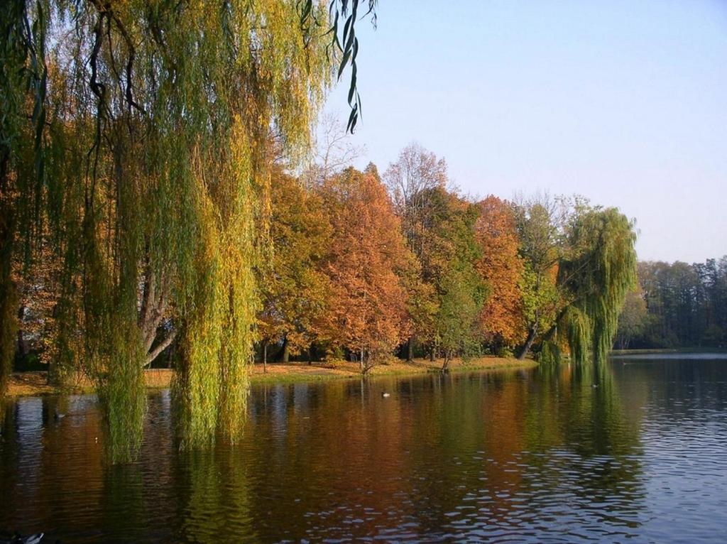 Comfortbiznes Pruszków Exterior foto