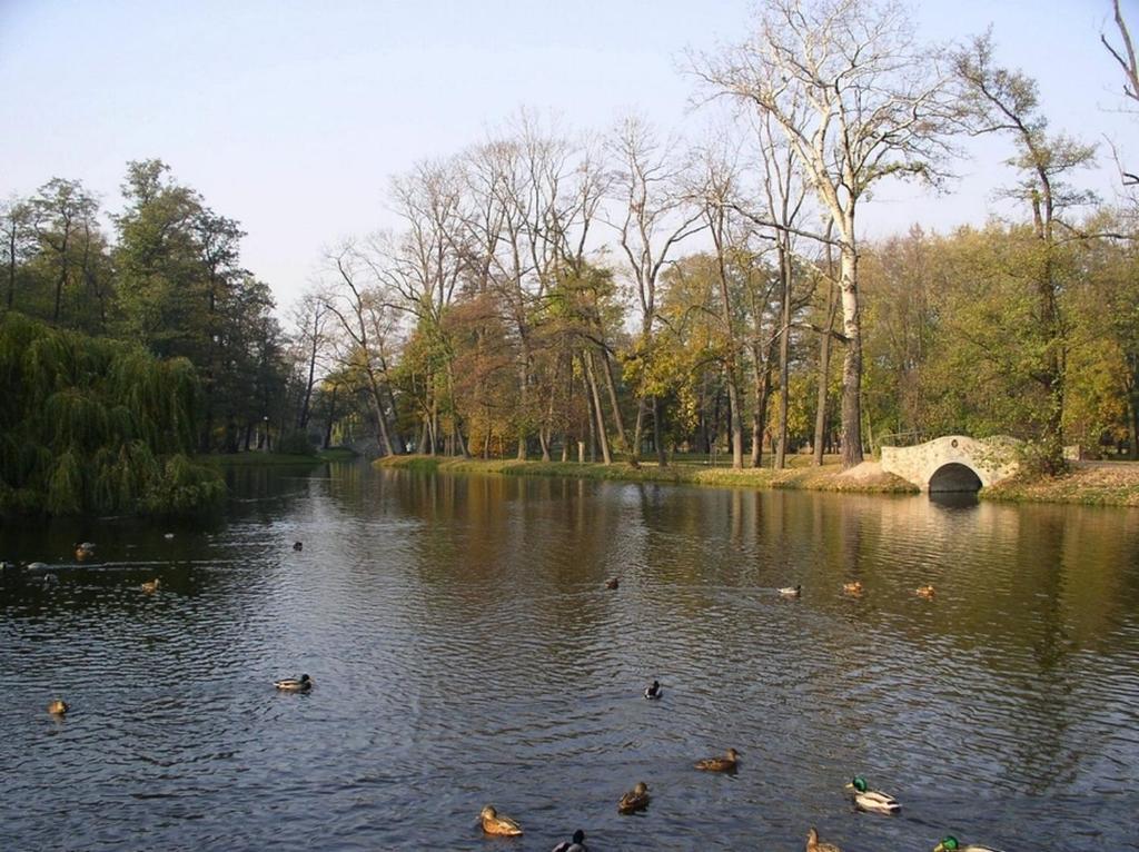 Comfortbiznes Pruszków Exterior foto